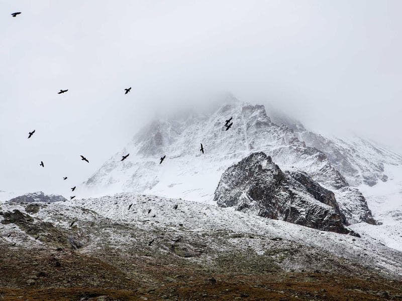 Cappadocia Standard Hot Air Balloon Flight
