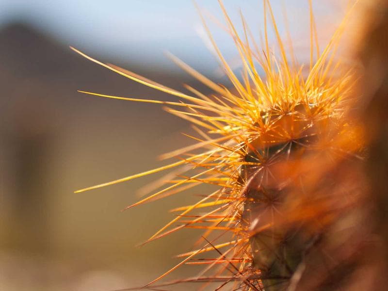 Cappadocia Mix Tour | Best of Red & Green