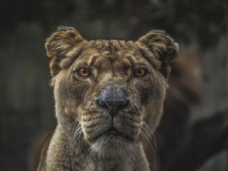 Nevşehir Airport to Cappadocia Private Transfer